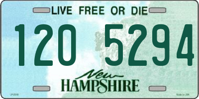 NH license plate 1205294
