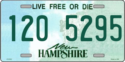 NH license plate 1205295