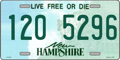 NH license plate 1205296