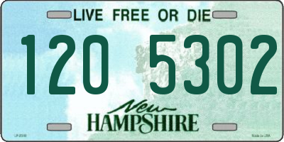 NH license plate 1205302