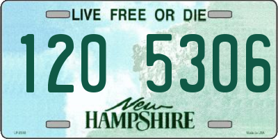 NH license plate 1205306