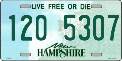NH license plate 1205307