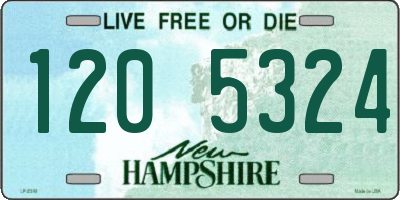 NH license plate 1205324