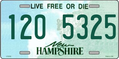 NH license plate 1205325