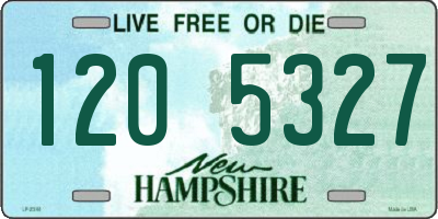 NH license plate 1205327