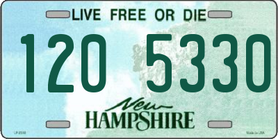 NH license plate 1205330