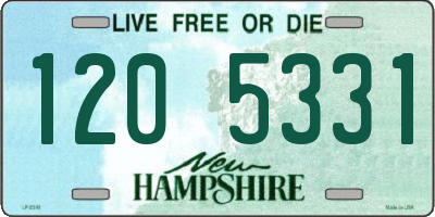 NH license plate 1205331