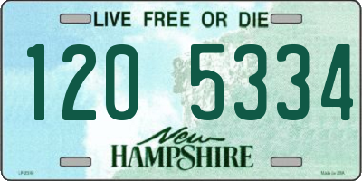 NH license plate 1205334