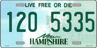 NH license plate 1205335