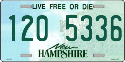 NH license plate 1205336