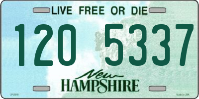 NH license plate 1205337