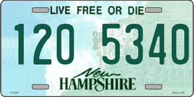 NH license plate 1205340