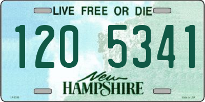 NH license plate 1205341