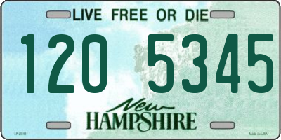NH license plate 1205345