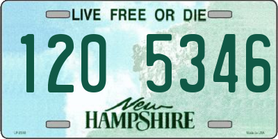 NH license plate 1205346