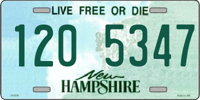 NH license plate 1205347
