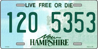 NH license plate 1205353