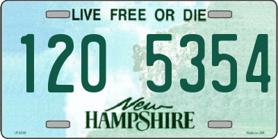 NH license plate 1205354