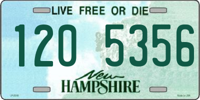 NH license plate 1205356