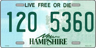 NH license plate 1205360