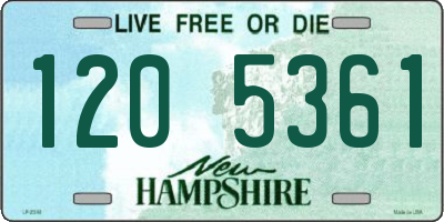 NH license plate 1205361