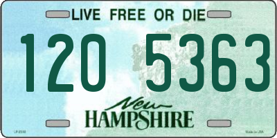 NH license plate 1205363