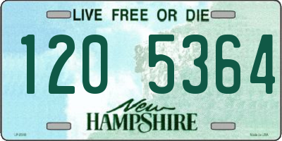 NH license plate 1205364
