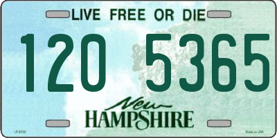 NH license plate 1205365