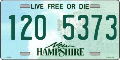 NH license plate 1205373