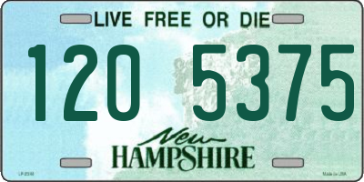NH license plate 1205375