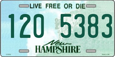 NH license plate 1205383