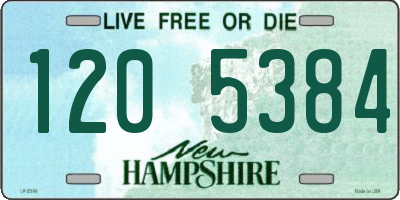 NH license plate 1205384