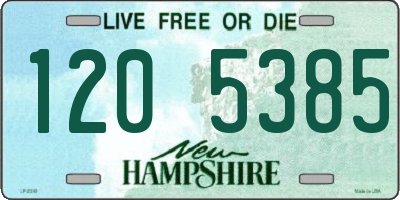 NH license plate 1205385