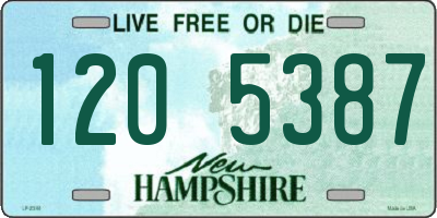 NH license plate 1205387