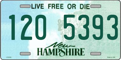 NH license plate 1205393