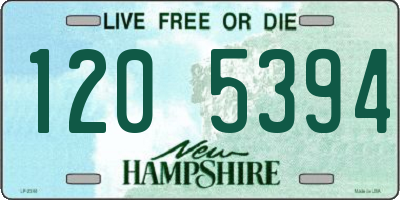 NH license plate 1205394