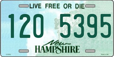 NH license plate 1205395