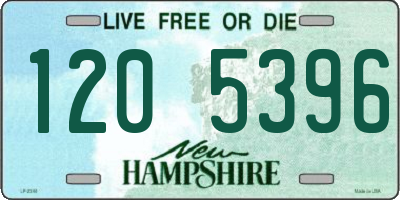 NH license plate 1205396