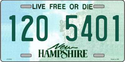 NH license plate 1205401