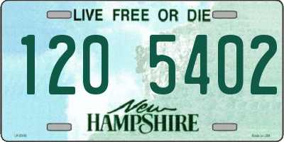 NH license plate 1205402