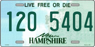 NH license plate 1205404