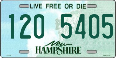 NH license plate 1205405
