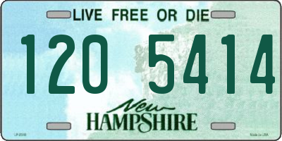 NH license plate 1205414