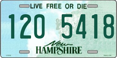 NH license plate 1205418