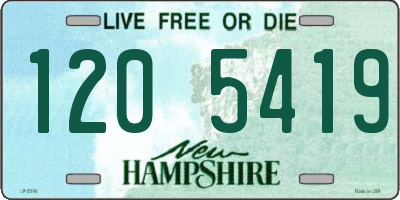 NH license plate 1205419