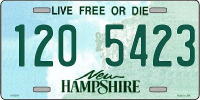 NH license plate 1205423