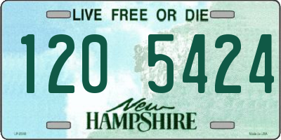 NH license plate 1205424