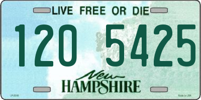 NH license plate 1205425