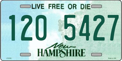 NH license plate 1205427