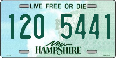 NH license plate 1205441